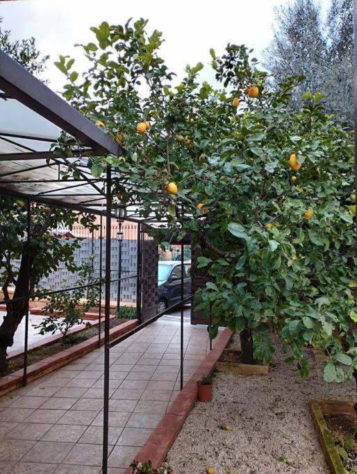 Apartamento La Casetta Dei Limoni